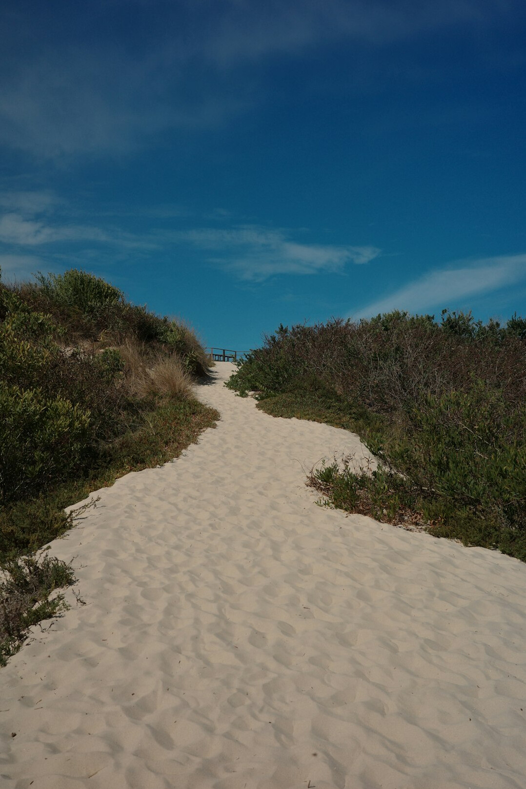 Protected coastal dunes landscape in Portugal